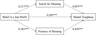 Belief in a Just World and Mental Toughness in Adolescent Athletes: The Mediating Mechanism of Meaning in Life